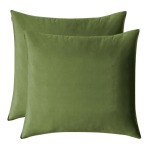 Luxury Warm Soft Velvet Pillow Cover For Couch Bedroom 2 Pcs